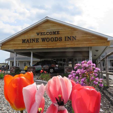 Brewer Maine Woods Inn מראה חיצוני תמונה